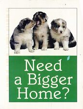 puppies need homes for sale  Bella Vista