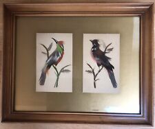 Antique watercolour bird for sale  NEWTON ABBOT