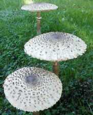 Pilz substrat parasol gebraucht kaufen  Großdubrau