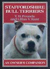 Staffordshire bull terriers for sale  UK