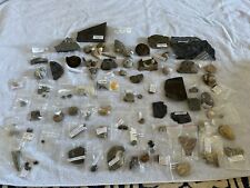 Large collection fossils for sale  COULSDON
