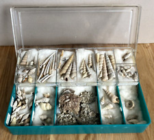 Boxed fossil collection for sale  HIGH WYCOMBE