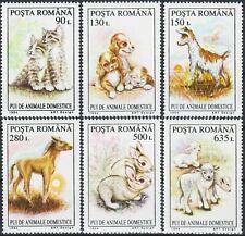 Romania 1994 gatti usato  Italia