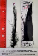 Used, LUCKY7 Select  " Heron " Qty: 15  "  Black  "  ( 7"  Inch long Feathers ) for sale  Shipping to South Africa