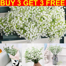 Gypsophila baby breath for sale  MANCHESTER