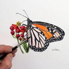 Original monarch butterfly for sale  WINKLEIGH