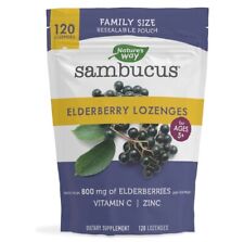 Sambucus organic elderberry for sale  Browns Summit