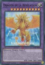 Yu-Gi-Oh! Dragon de la Révélation : SR LEDE-FR038 segunda mano  Embacar hacia Argentina