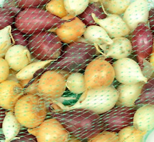 Onion bulbs sets for sale  Manitowoc
