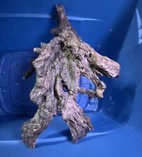 Large driftwood aquarium for sale  Jonesboro