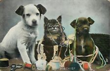 vida animal, perros y gatos enredados en artículos de costura de canasta, MISCHIEF, Tuck 4411 segunda mano  Embacar hacia Argentina