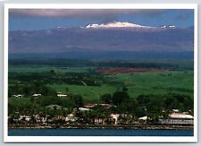 Postcard hawaii hawaiian for sale  Fort Worth
