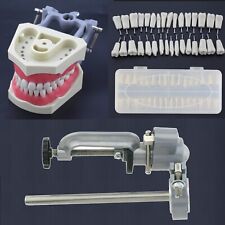 Used, Columbia Dentoform 860 Dental Typodont Model 32pcs Removable Teeth Mounting Pole for sale  Shipping to South Africa