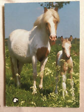 Postkarte pferde norwegen gebraucht kaufen  Hamburg