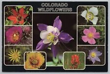 Colorado wildflowers columbine for sale  Newton