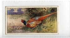 (Jd7413) PLAYERS,GAME BIRDS & WILD FOWL,CHINESE RING-NECKED PHEASANT,1927,#28 for sale  WITHERNSEA