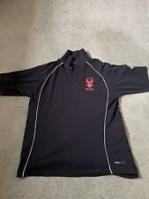 Rare kidderminster harriers for sale  DROITWICH