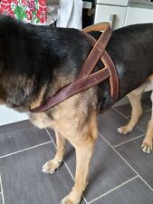 Hundegeschirr leder schäferhu gebraucht kaufen  Gau-Algesheim