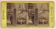 California stereoview mammoth for sale  North Windham