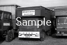 livestock truck photos for sale  UK