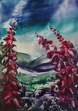 Foxglove countryside landscape for sale  MORPETH