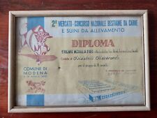 Modena diploma 1955 usato  Valvestino