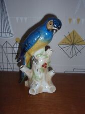 Blue yellow parrot for sale  WORTHING