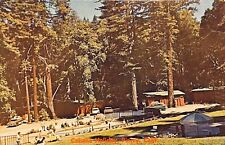 Used, 1960s Piercy California Cabana Holiday Resort Cabin Vintage Postcard for sale  Shipping to South Africa