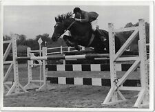 Equitation 1967 hippique d'occasion  Vincennes