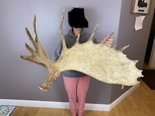 Huge moose shed for sale  Moscow