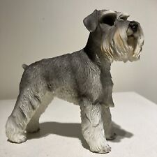 schnauzer dog for sale  BIRMINGHAM