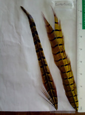 Pieces pheasant tail for sale  CONSETT