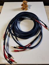 bi wire speaker cable for sale  LONDON