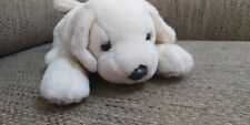 Andrex labrador puppy for sale  BURNLEY