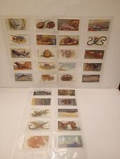 Wills cigarette cards for sale  LEICESTER