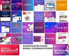 ELEMENTOR PRO 3.21.2 ULTIMATE BUNDLE 25 plugins Addons Elements Kit Pack Premium, usado comprar usado  Enviando para Brazil