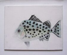 Argus fish original for sale  NOTTINGHAM