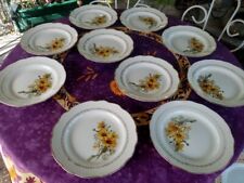 Assiettes plates anciennes d'occasion  France