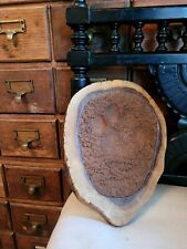 Taxidermy panthera paw for sale  KINGSWINFORD