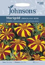 Marigold french jolly for sale  NEWMARKET