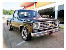 chevrolet 1976 c10 for sale  Pearcy