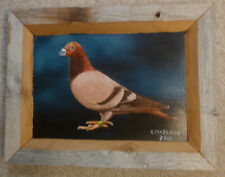 pigeons racing homer for sale  Olympia