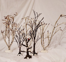 White birch bare for sale  Dendron