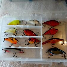  Lote de 11 señuelos limpios con bandeja de señuelos Rapala Berkley Storm Crankbait, usado segunda mano  Embacar hacia Argentina