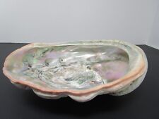 Beautiful natural abalone for sale  Leland