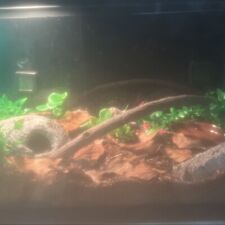 Reptile enclosure gallon for sale  Tampa