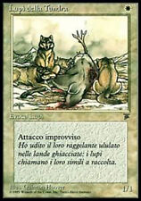 Mtg magic lupi usato  Sondrio