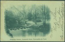 UK - 1902 Stepping Stones, Jesmond Dene, Newcastle - PPC Vintage Postcard, used for sale  Shipping to South Africa