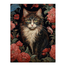 Stylish maine coon for sale  Shipping to Ireland