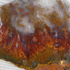 plume agate for sale  Halfway